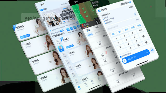 双端界面协议适配