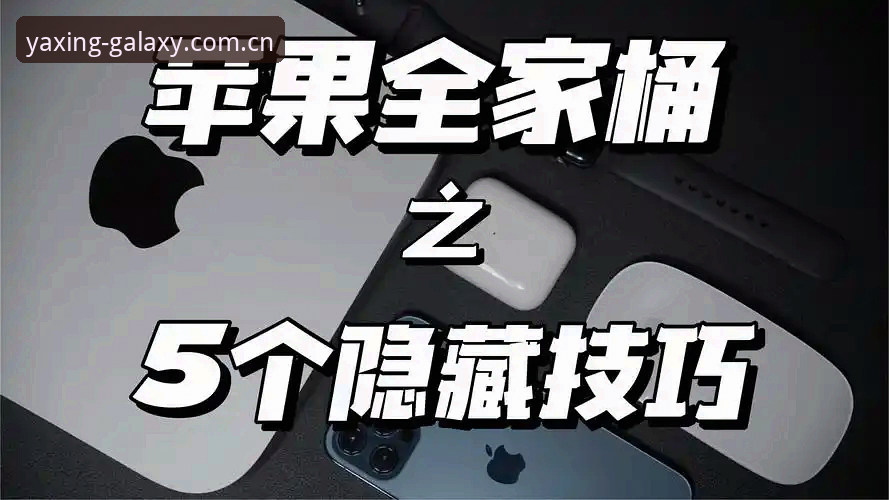 苹果用户如何高效查询亚星CN赛事数据：WTY2年度专版完整操作教程